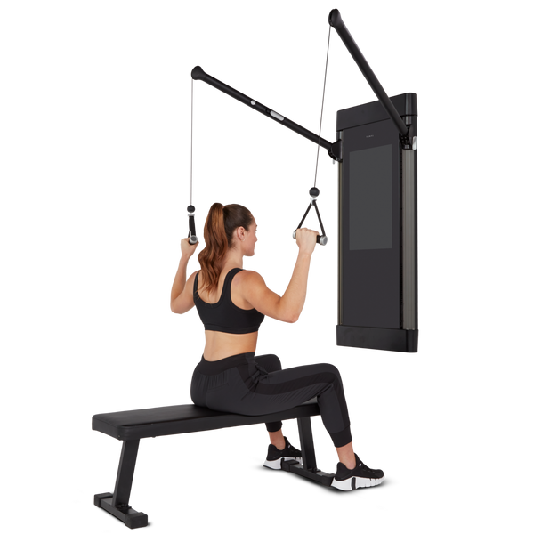 Seated Lat or Lateral Pulldown