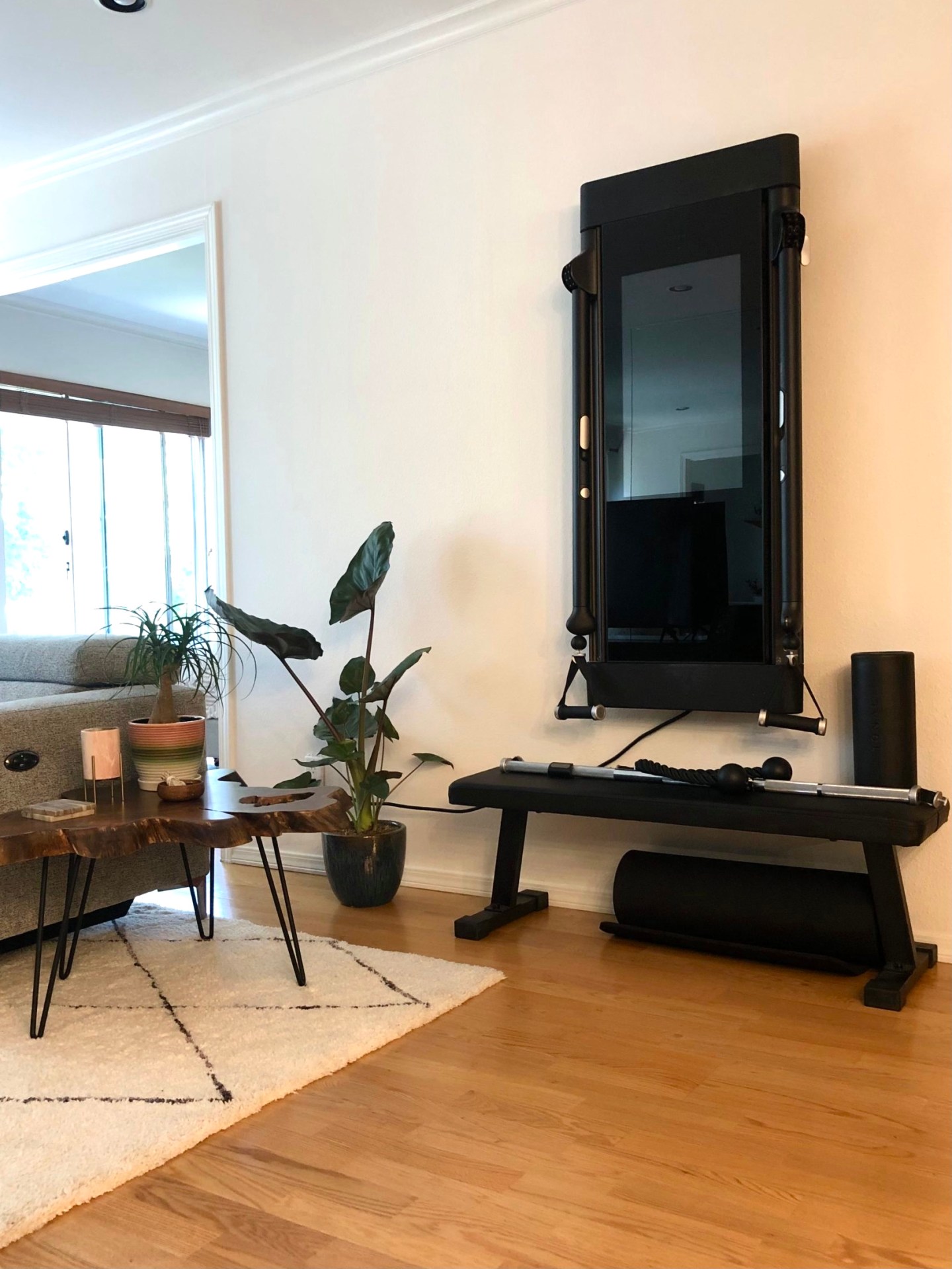 a tonal installed in a living room with a bench and a plant