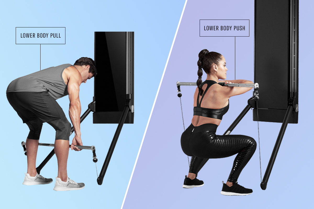 El otro día comunidad logo How to Add a Push-Pull Legs Workout to Your Fitness Routine