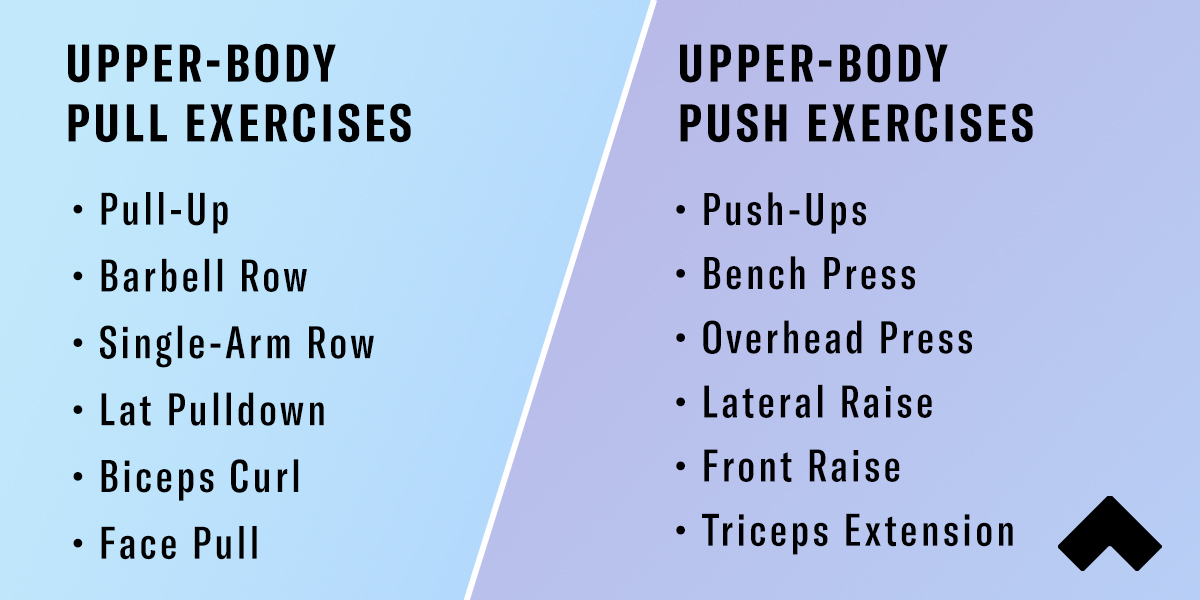 Push and 2025 pull bodyweight exercises