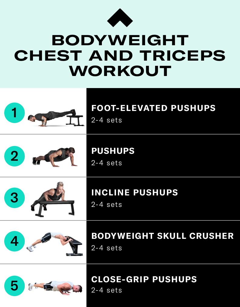 Home Chest Workout  Chest workout at home, Chest and arm workout, Chest  day workout