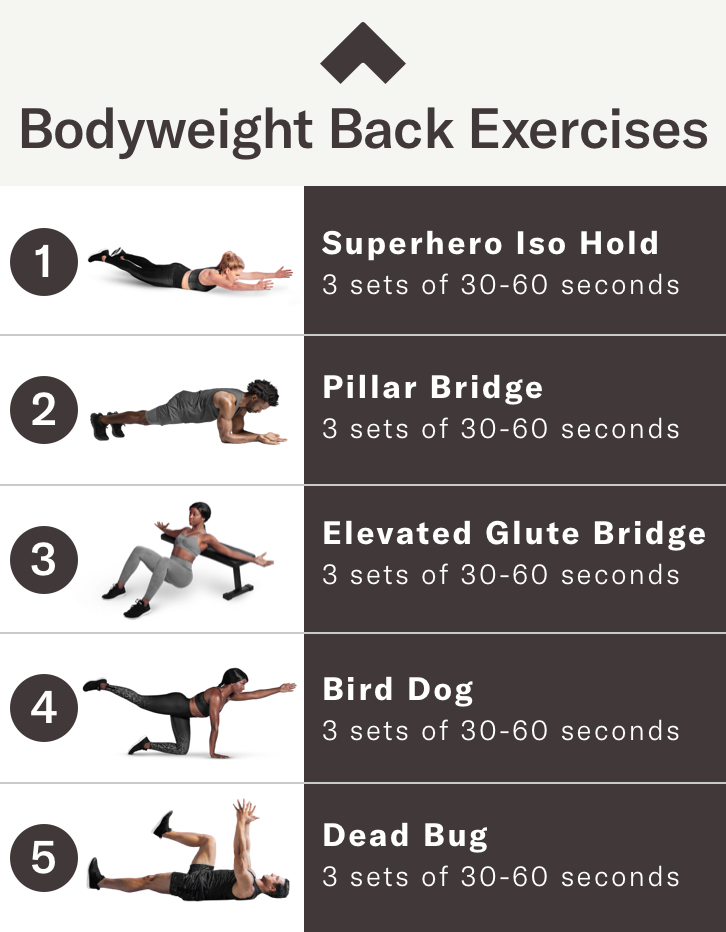3 Back Exercises to Achieve a Super Toned Back and Better Posture -  Gymondo® Magazine: Fitness, Nutrition & Weight Loss