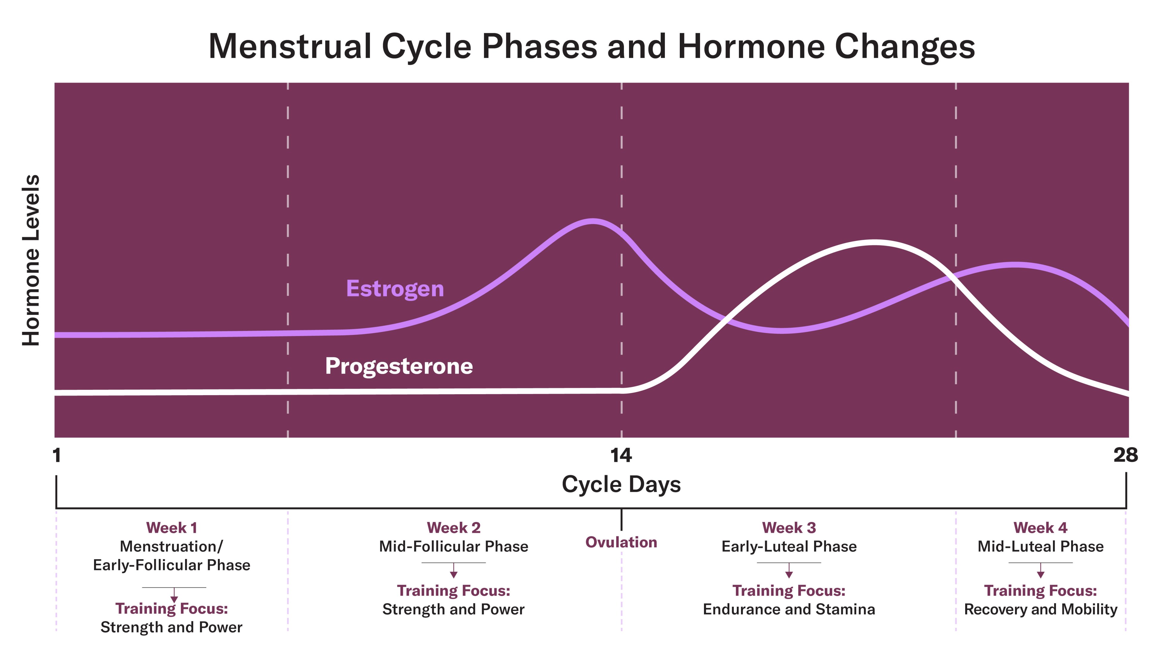 how-to-track-your-period-to-optimize-your-training